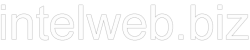 IntelWeb.biz Logo