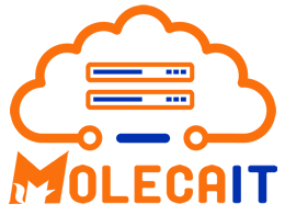 Moleca IT Logo