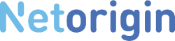 Netorigin Logo