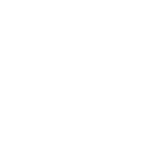 Ho-ost Logo