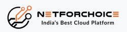 Netforchoice Logo