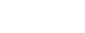 State24 Logo