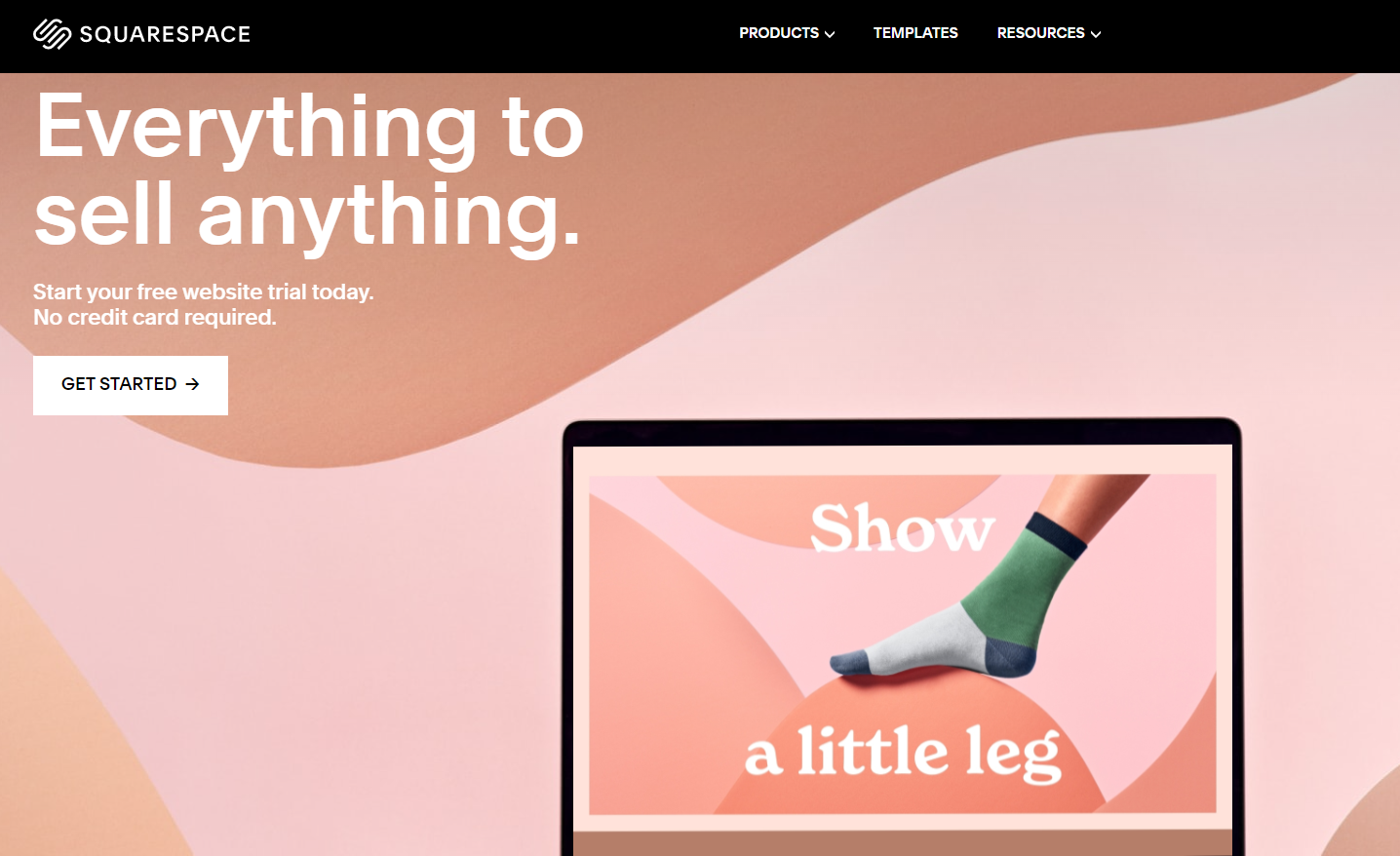 Squarespace vs. WordPress (Comparison) - WB