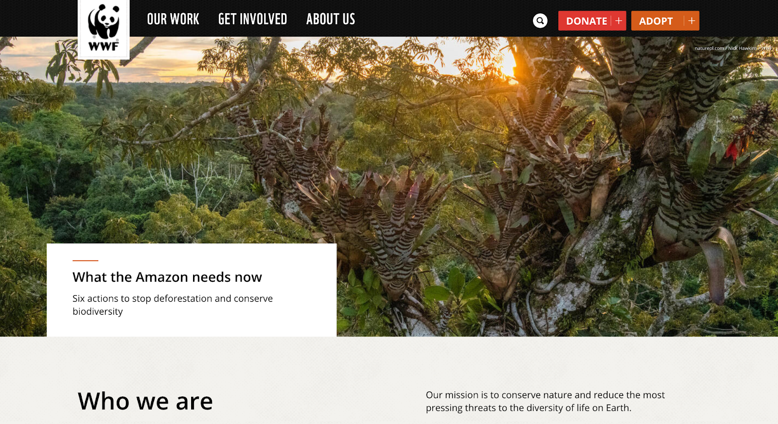 Screenshot: World Wildlife Fund (WWF)