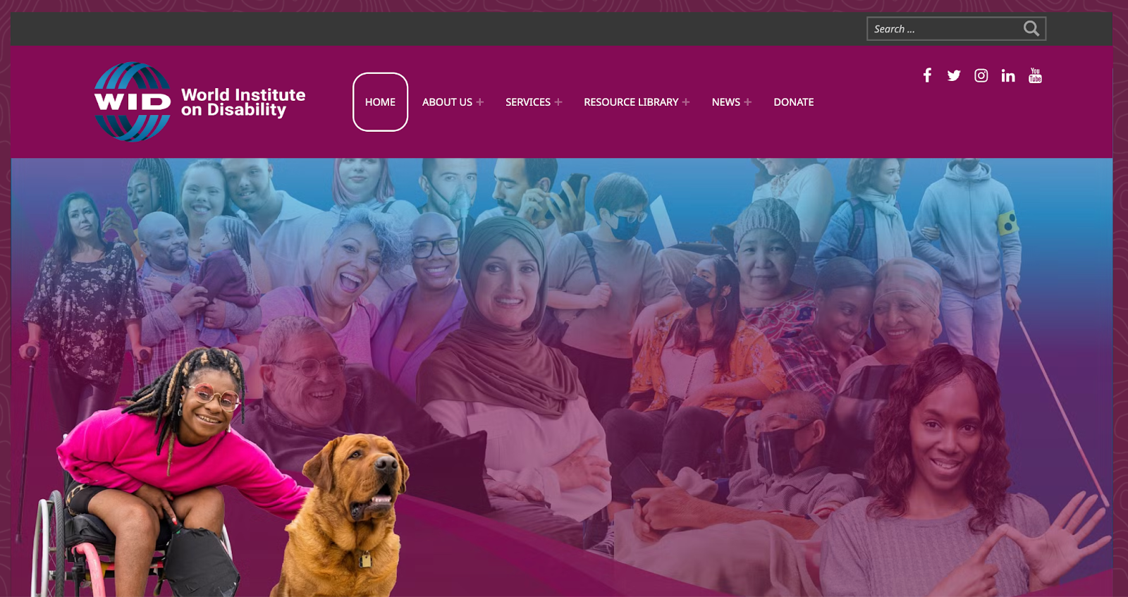 Screenshot from the World Institute on Disability (WID) website
