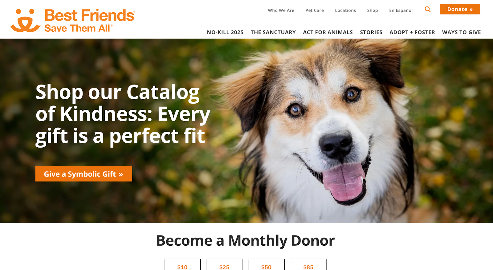 Screenshot from Best Friends Animal Society webpage