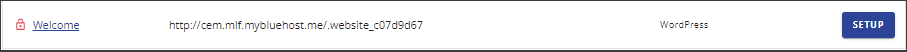 Final: Changing Domain Name on Bluehost