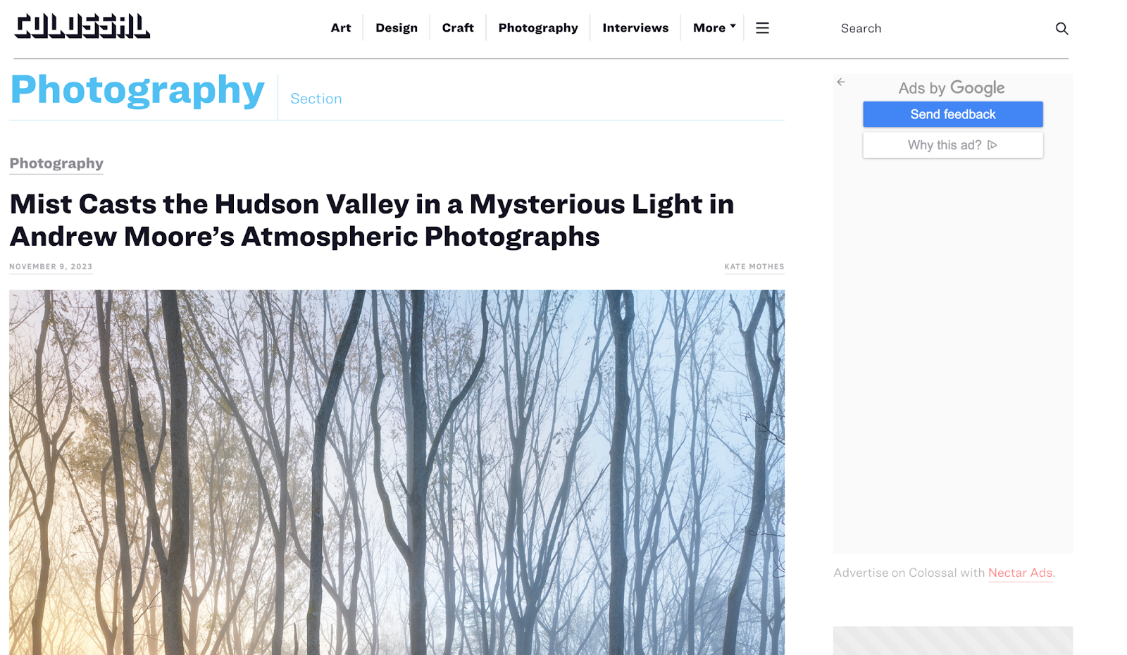 Screenshot from photography blog: Colossal.