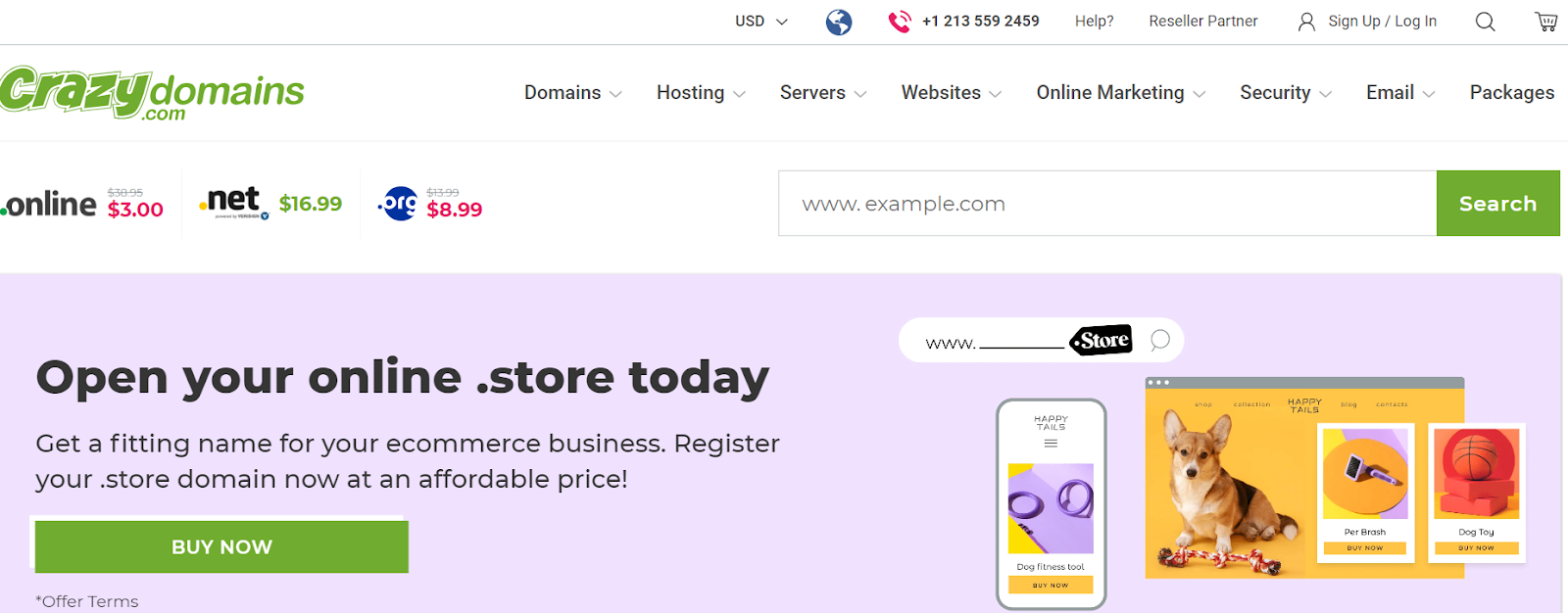 Premium DNS in Crazy Domains