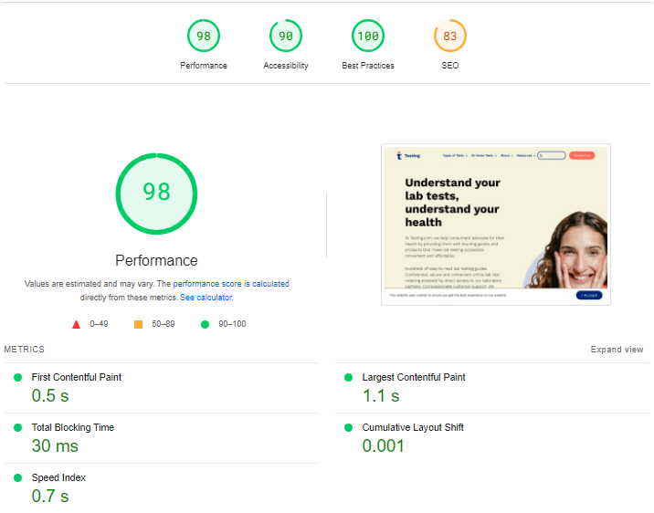 screenshot of Page Speed test result