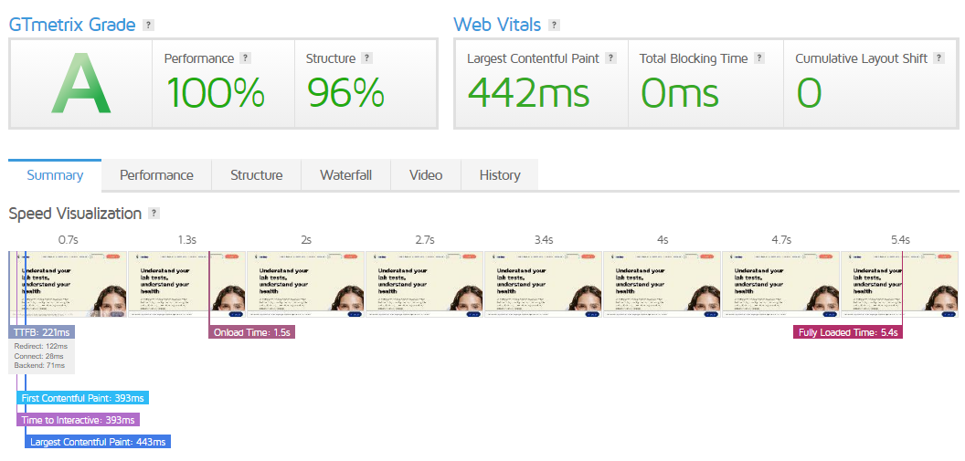 screenshot of GT Metrix test result