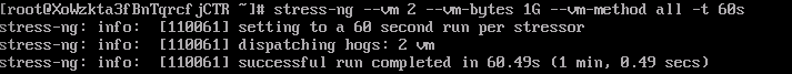screenshot of Stress-ng test result