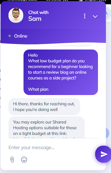 captura de pantalla de la conversación por chat en vivo con el soporte de UltaHost