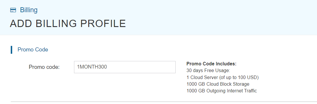 screenshot of the promo code