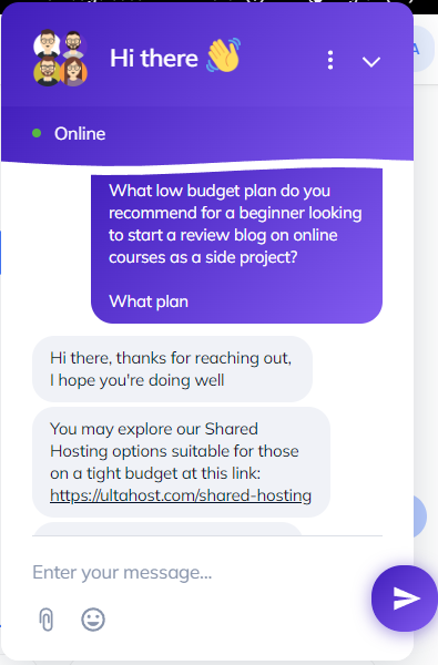 screenshot of LiveChat conversation