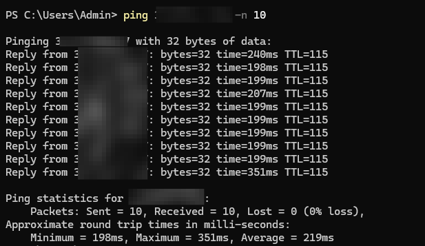 screenshot of the ping test result