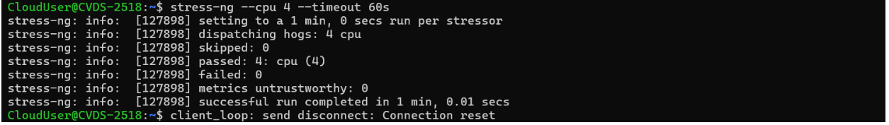 Uptime and Stability Test stress-ng