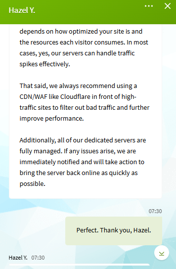 screenshot of the livechat conversation