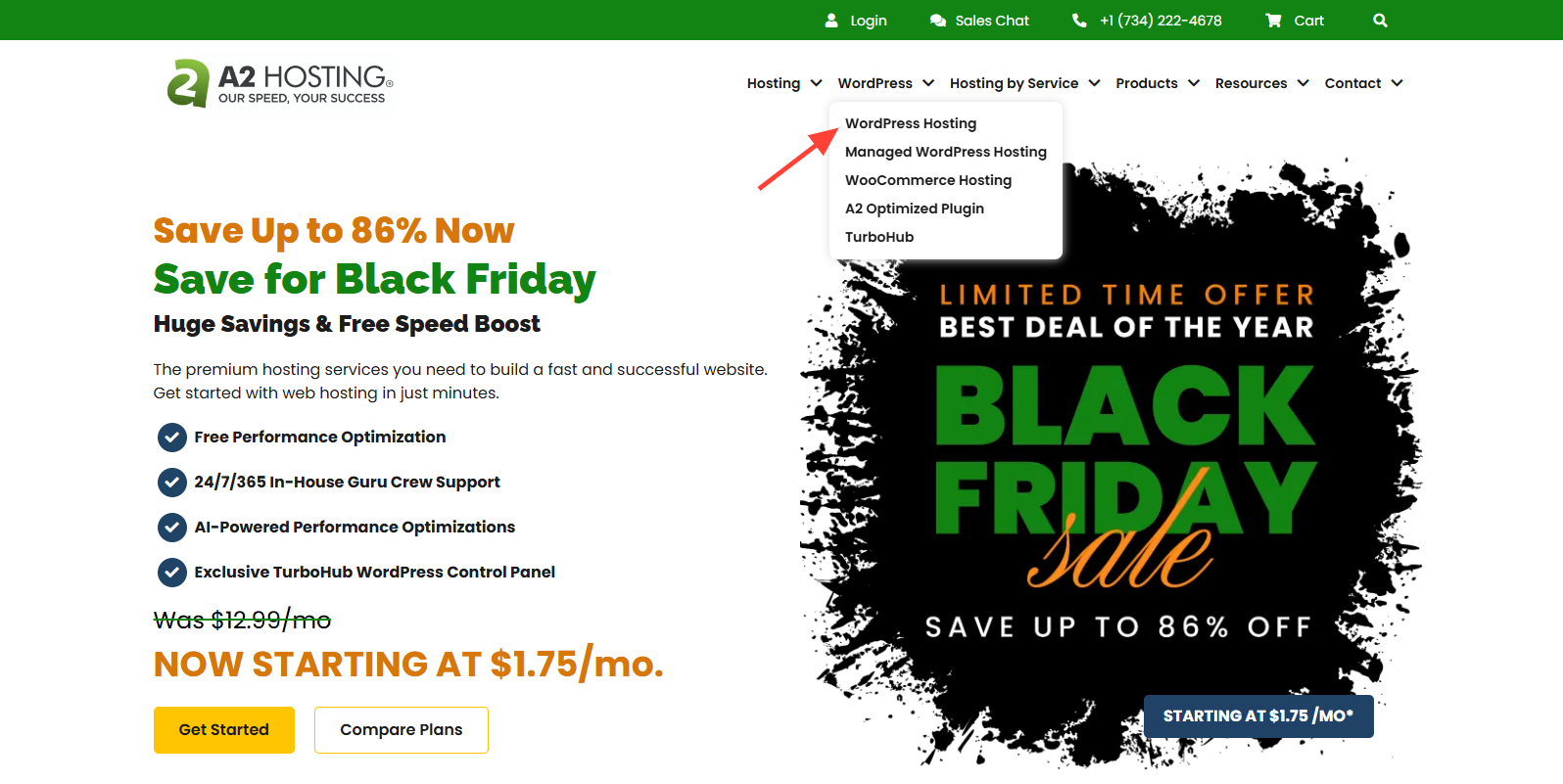 screenshot of the WordPress Hosting button