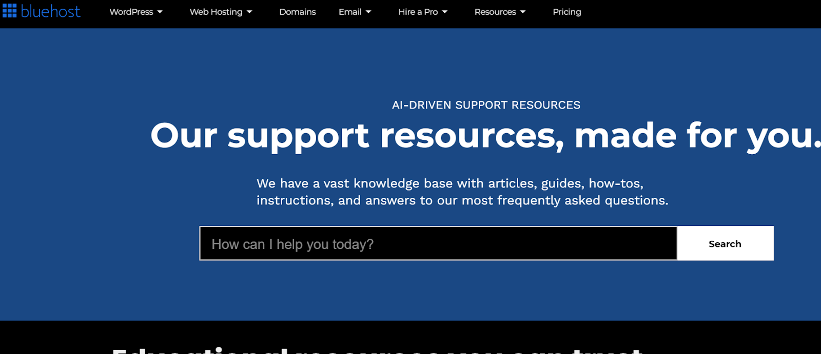 Bluehost Business Hosting Review