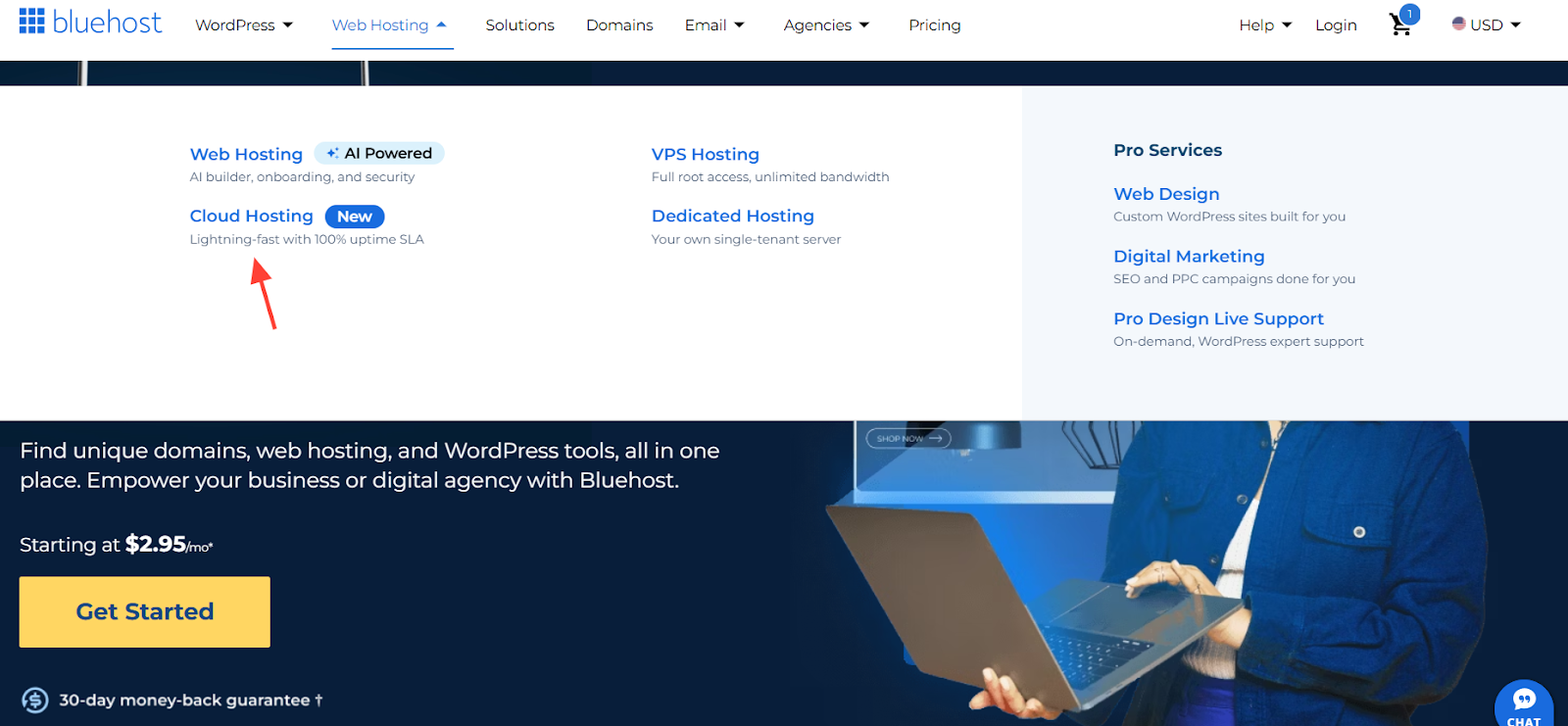 screenshot of the Cloud Hosting button