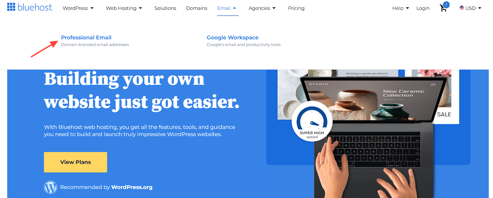screenshot of the Professional Email button