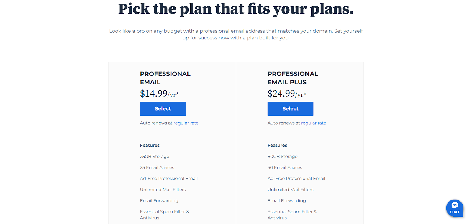 screenshot of the Professional Email plans