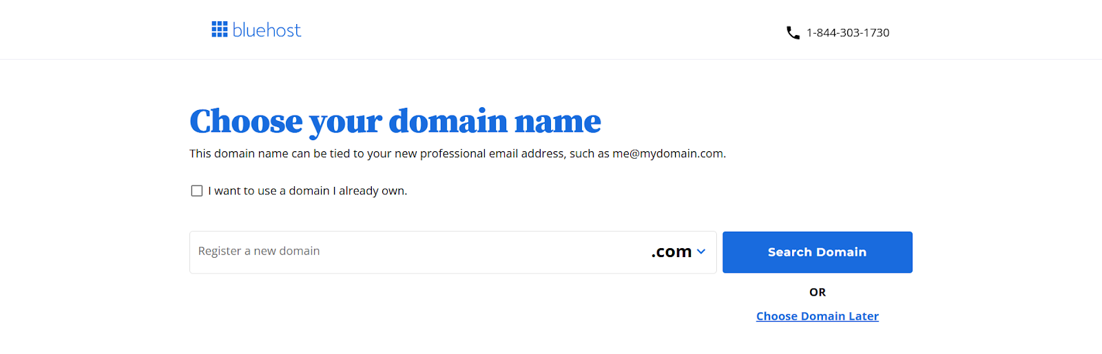 screenshot of the domain name