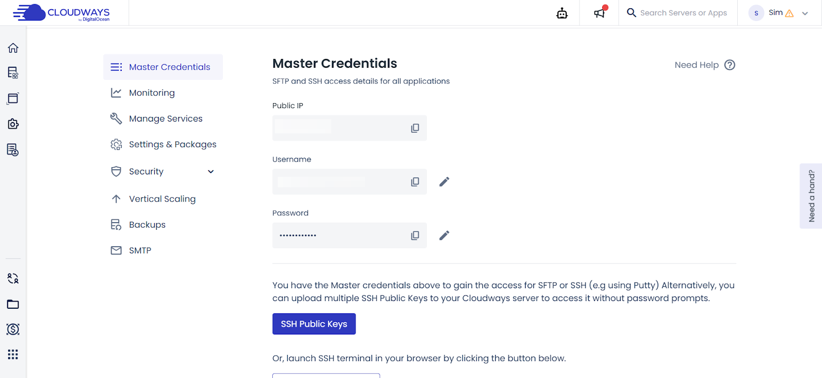 Cloudways WordPress hosting