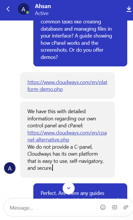 Cloudways WordPress hosting