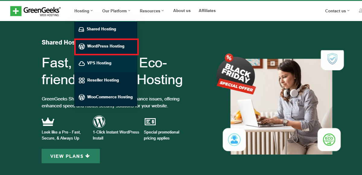 GreenGeeks VPS Review