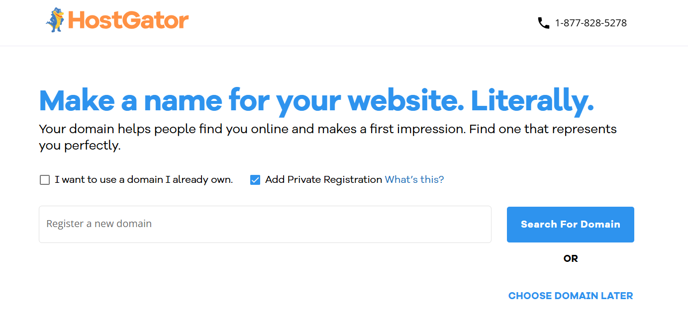 screenshot of domain registartion