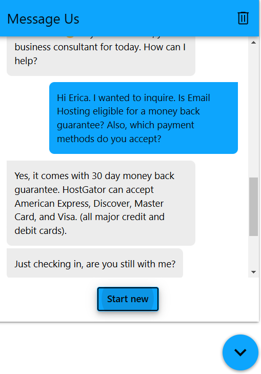 screenshot of the Livechat conversation