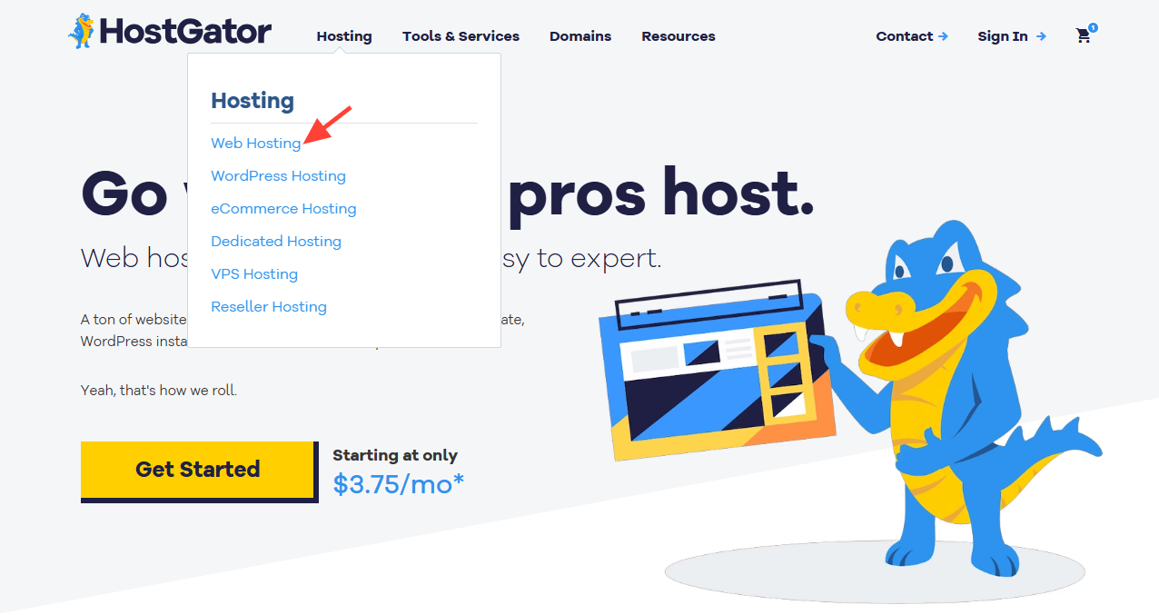 screenshot of Web hosting button