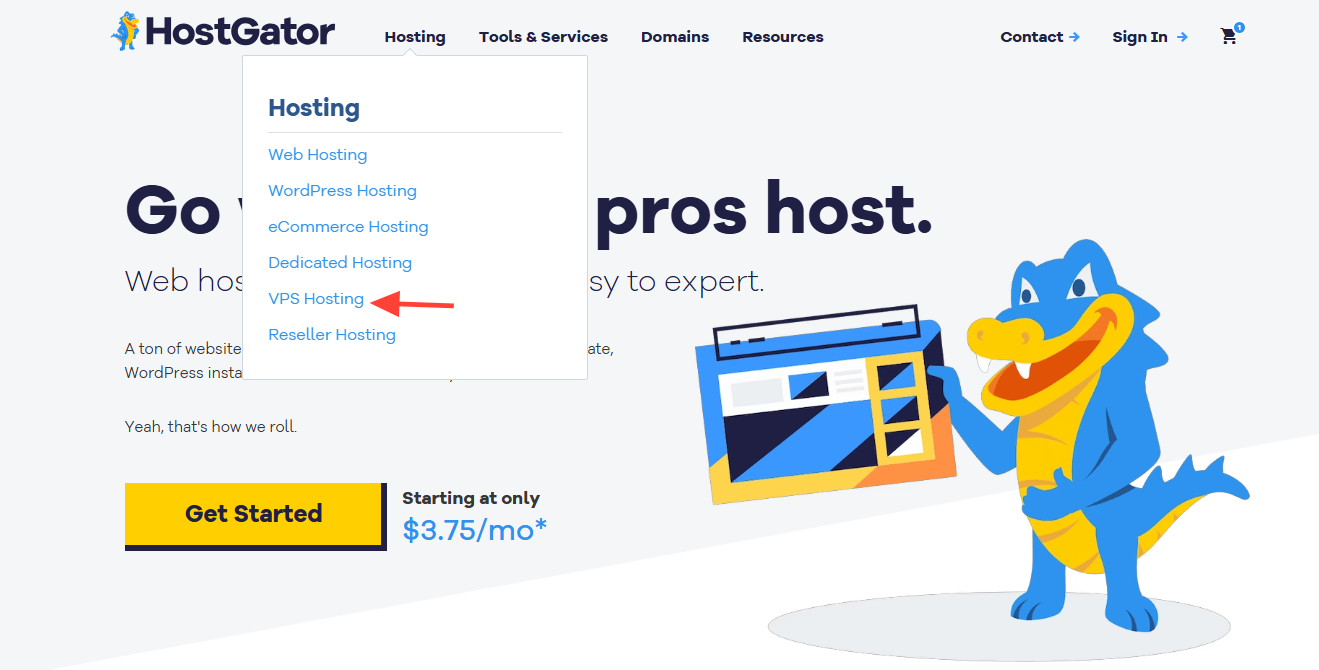 screenshot of the VPS Hosting button