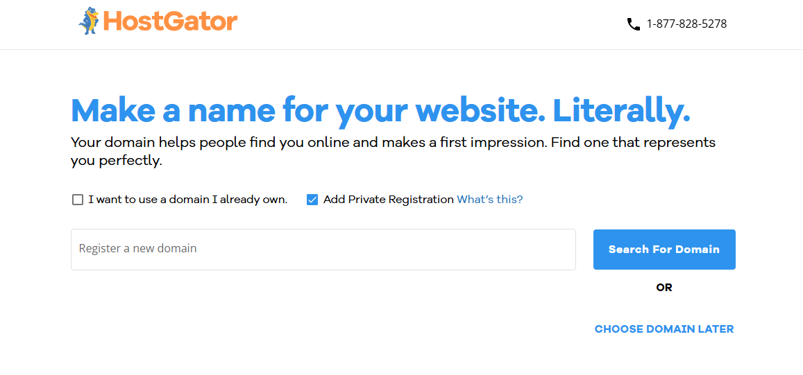 screenshot of the domain selection