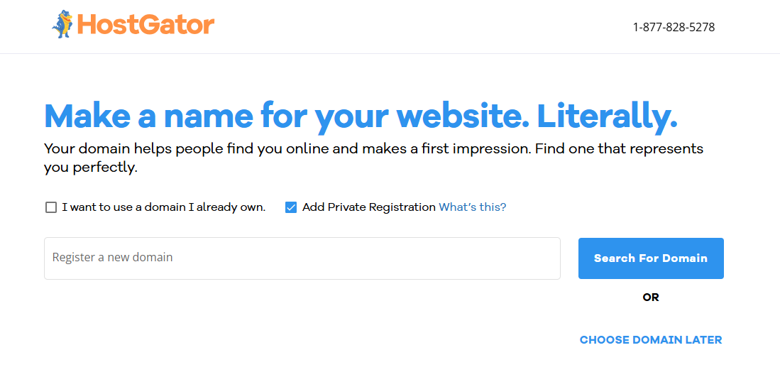 screenshot of the domain selection
