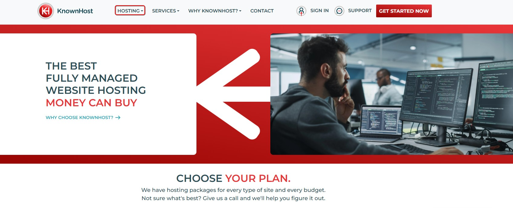screenshot del pulsante Hosting