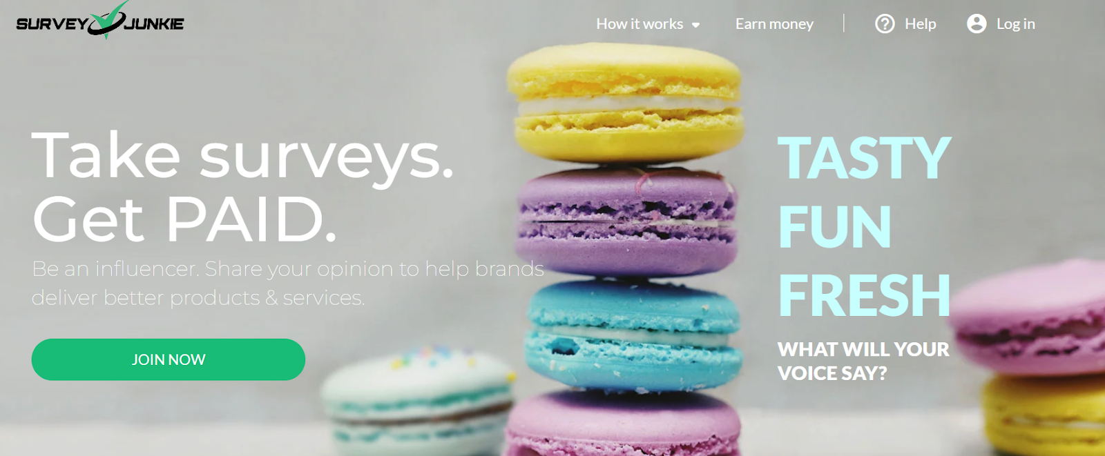 Survey Junkie website homepage