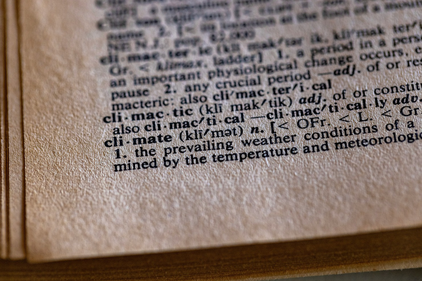 A dictionary.