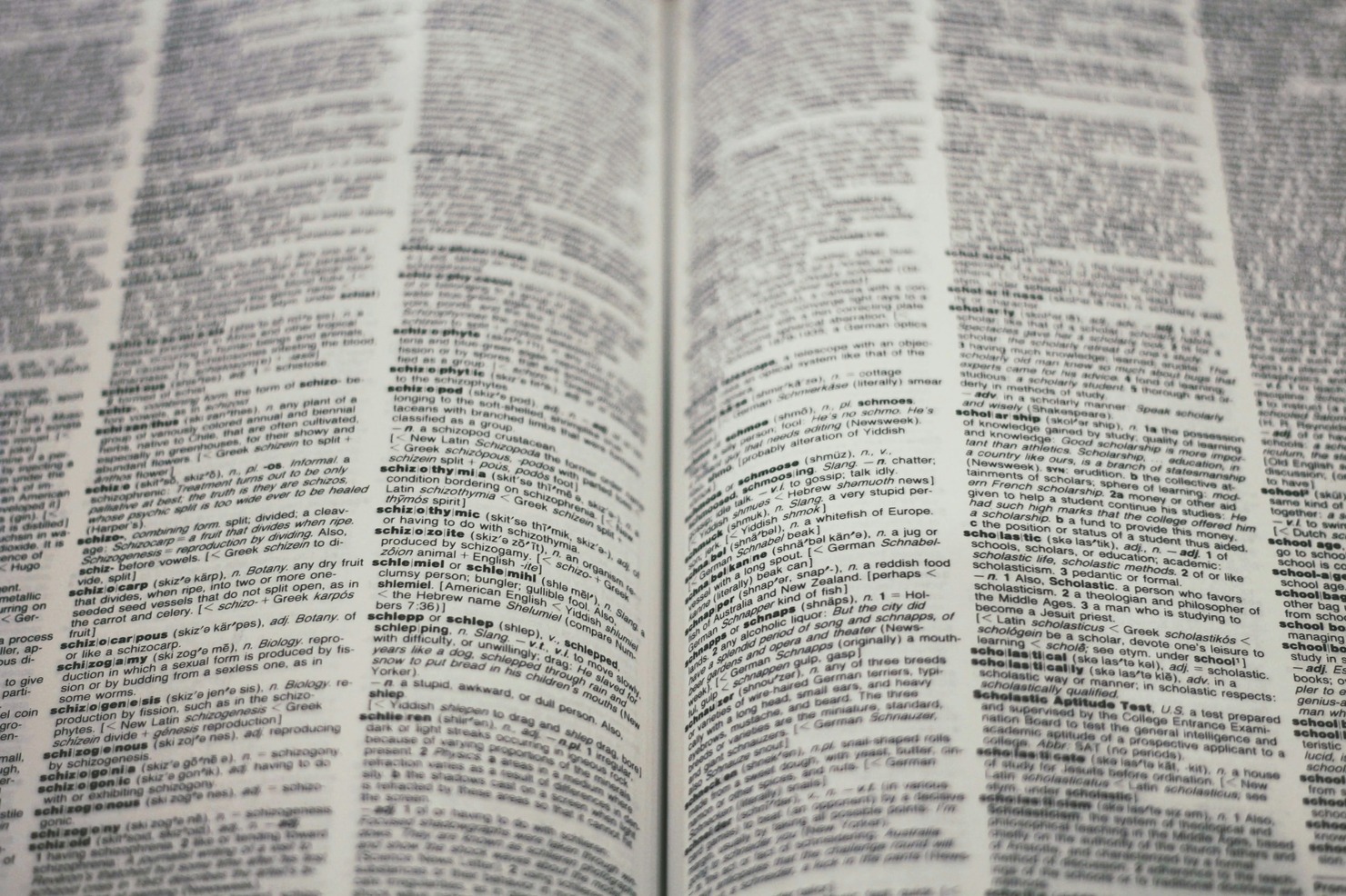 A multi-lingual dictionary.
