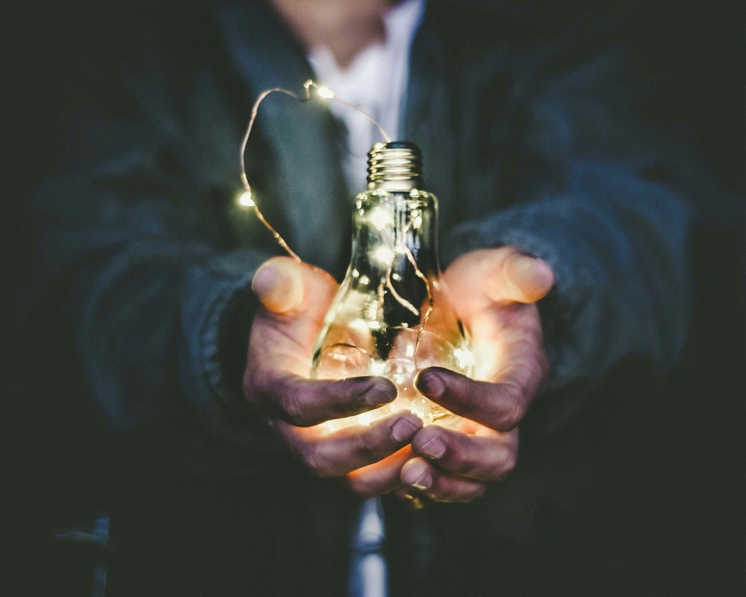 A valuable bulb.