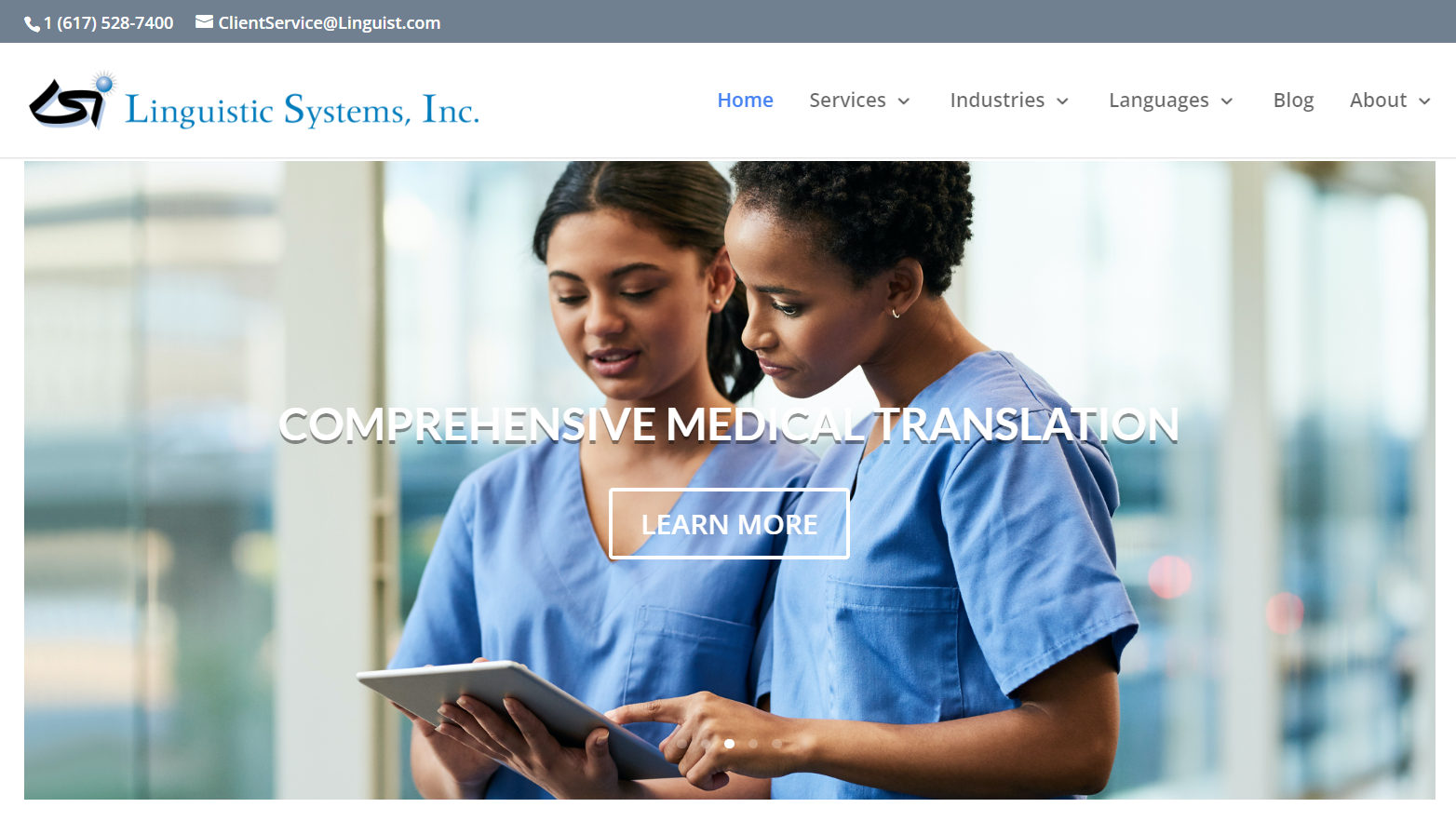 Linguistic Systems Inc homepage.