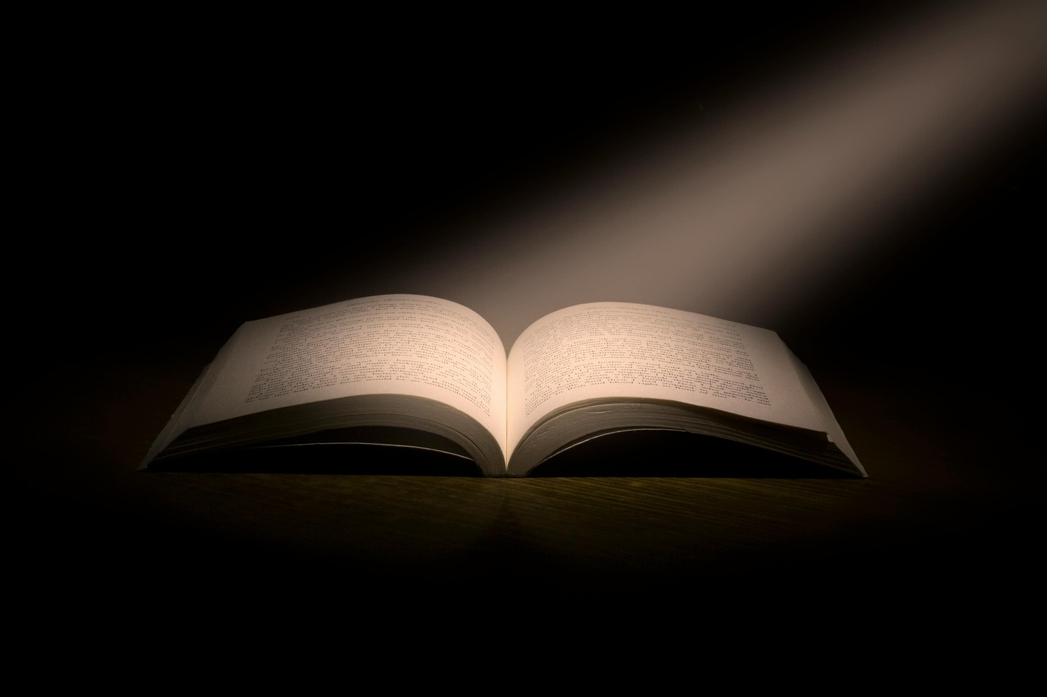Photography of a Book Page.