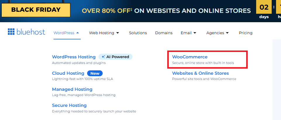 Bluehost eCommerce Hosting Review