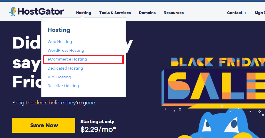HostGator Ecommerce Hosting Review
