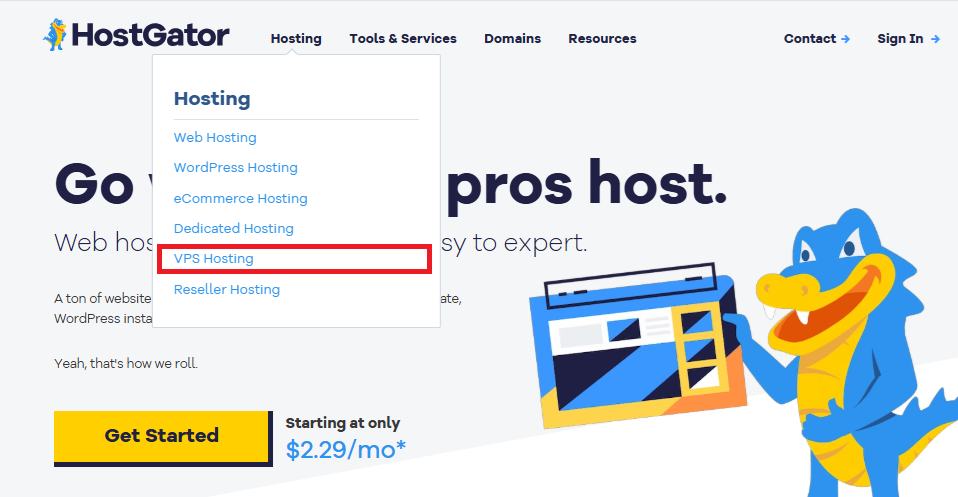 HostGator Linux Hosting Review