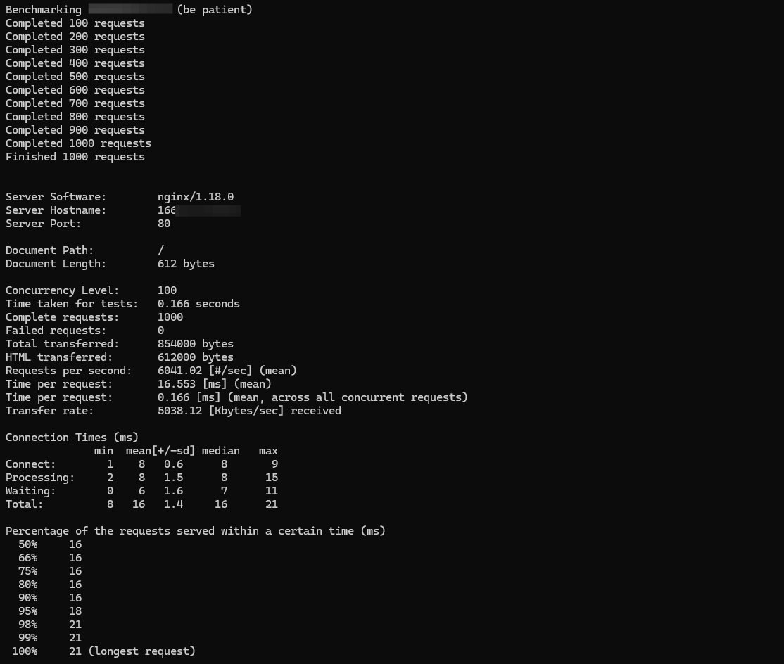 screenshot of the Web Server load test