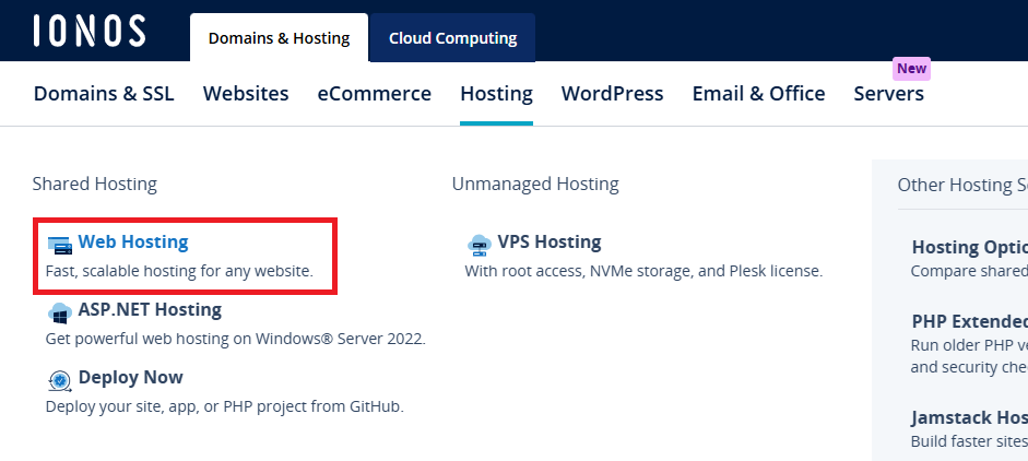 IONOS Business Hosting Review