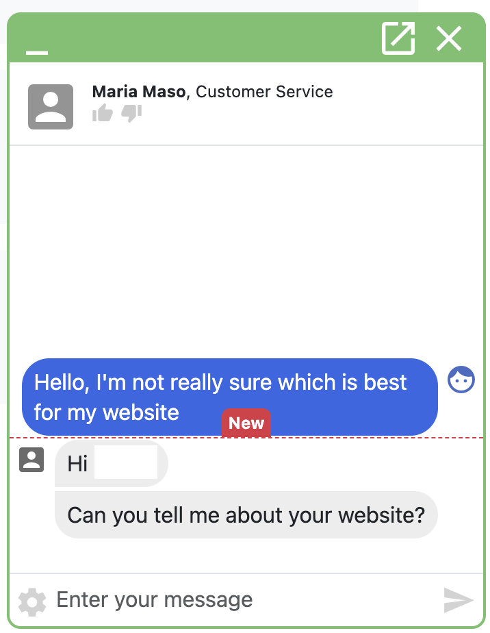 screenshot of the live chat conversation
